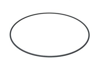 O-ring inner Ø160 WS 2.50mm 
